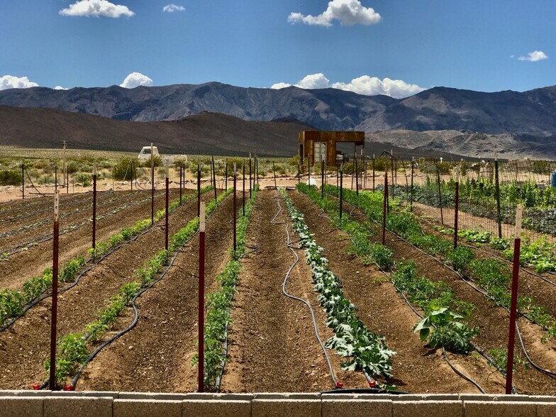More Photos Of 691 Desert Trail way, Tecopa Winery Vineyard For Sale