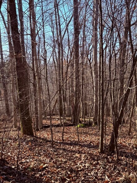 More Photos Of 4604 Summersville Rd, Campbellsville Land For Sale