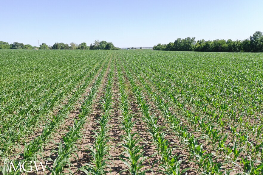 More Photos Of N 4250th Road, Mendota Land For Sale
