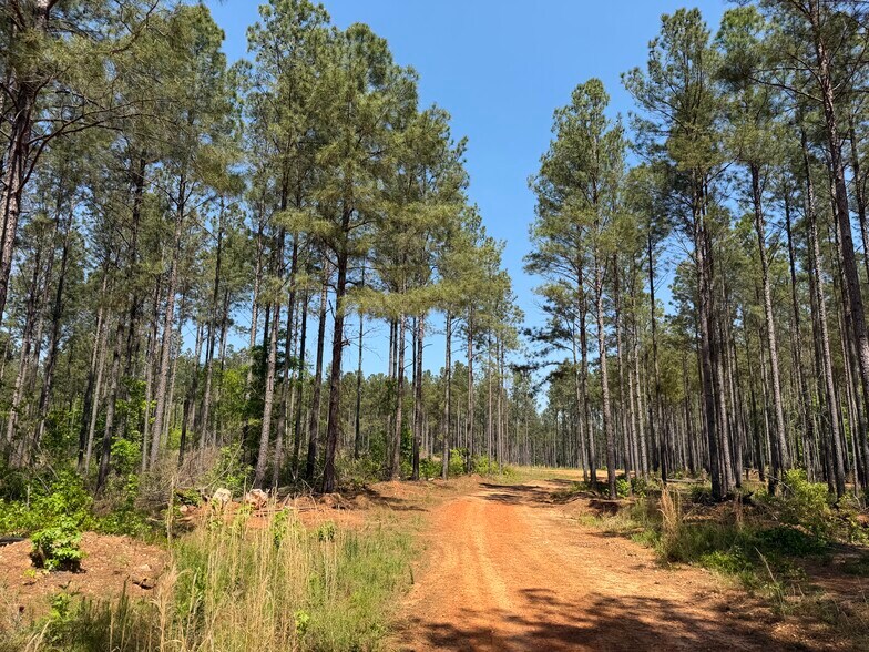 More Photos Of Hidden Harbor Road road, Lincolnton Land For Sale