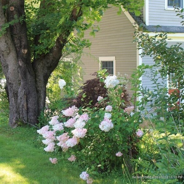 More Photos Of 15 Locke St, Kennebunkport Hospitality For Sale