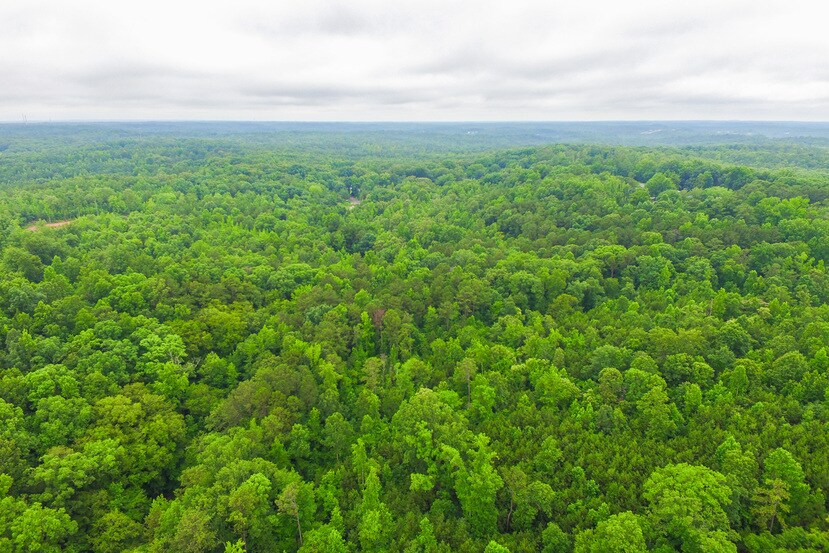 More Photos Of 4666 Stonewall Tell, Atlanta Land For Sale