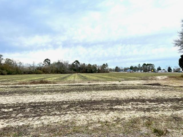 More Photos Of 8291 GA Highway 67, Brooklet Land For Sale