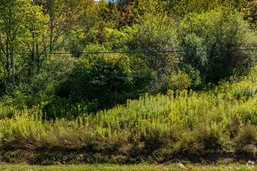 More Photos Of 6520 Mallory Rd, Marcy Land For Sale