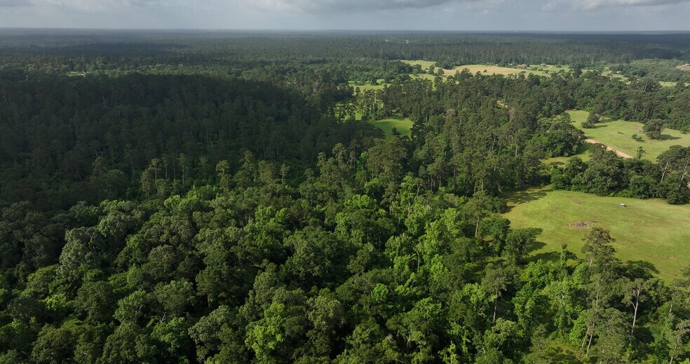 More Photos Of 2268 FM 1486, Montgomery Land For Sale