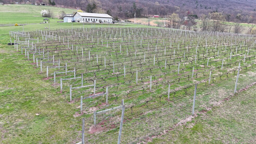 More Photos Of 596 Harman Rd, Halifax Winery Vineyard For Sale