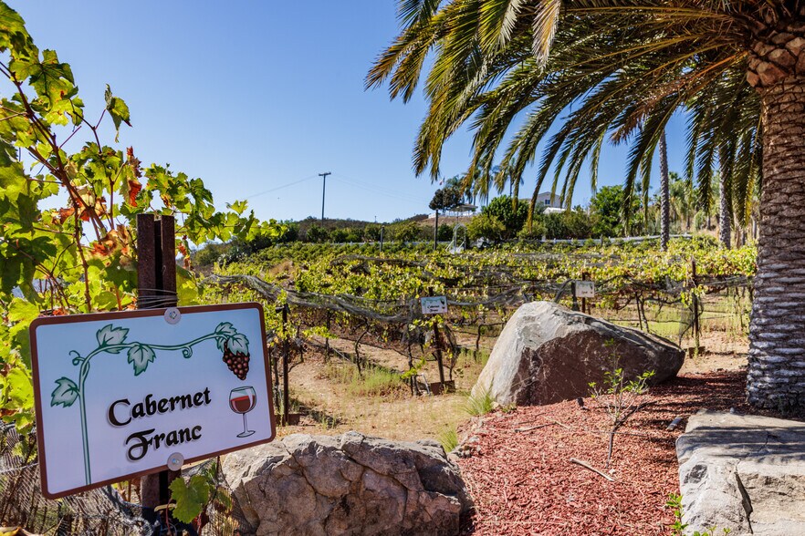 More Photos Of 2286 Sunshine Mountain Rd, San Marcos Winery Vineyard For Sale