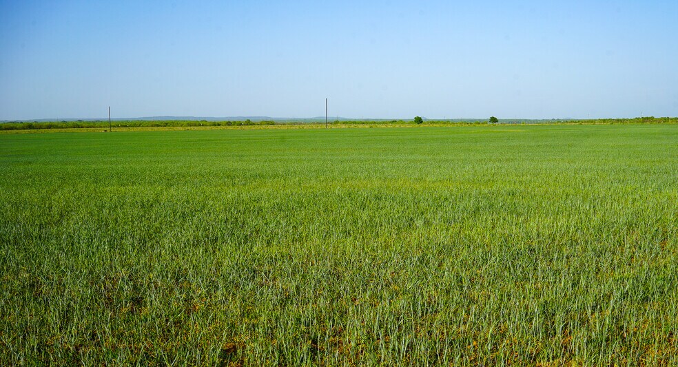 More Photos Of 723 FM 2926, Baird Land For Sale