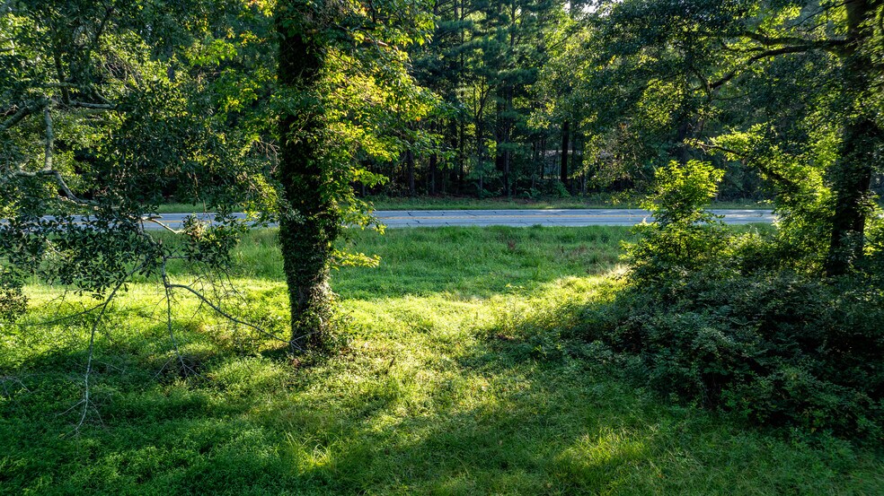 More Photos Of 62 Turin Rd, Senoia Land For Sale