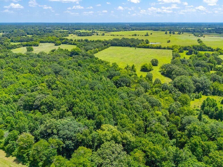 More Photos Of County Road 3311, Omaha Land For Sale