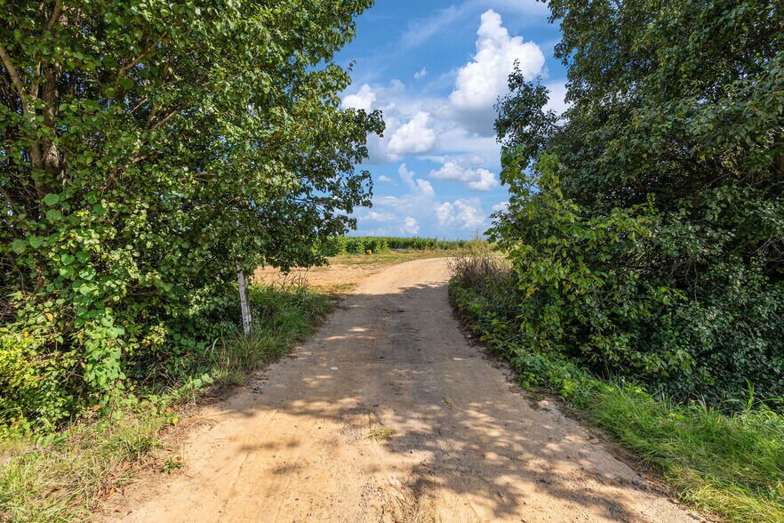More Photos Of 370 Roy Martin, Johnson City Land For Sale
