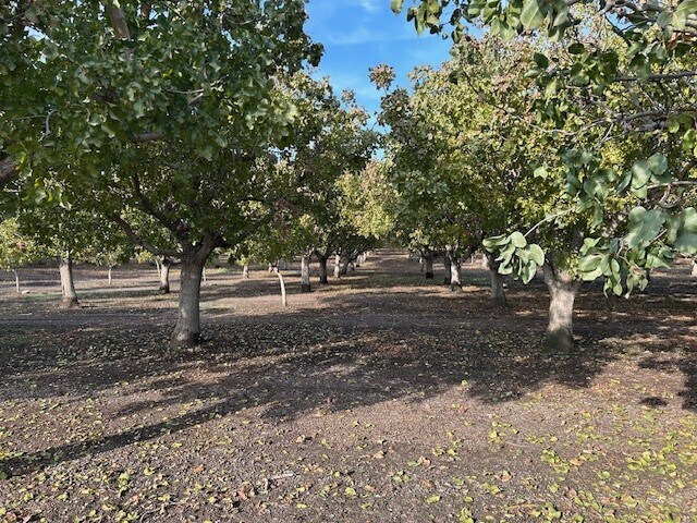 More Photos Of Road 264-South of 95 ave, Terra Bella Land For Sale