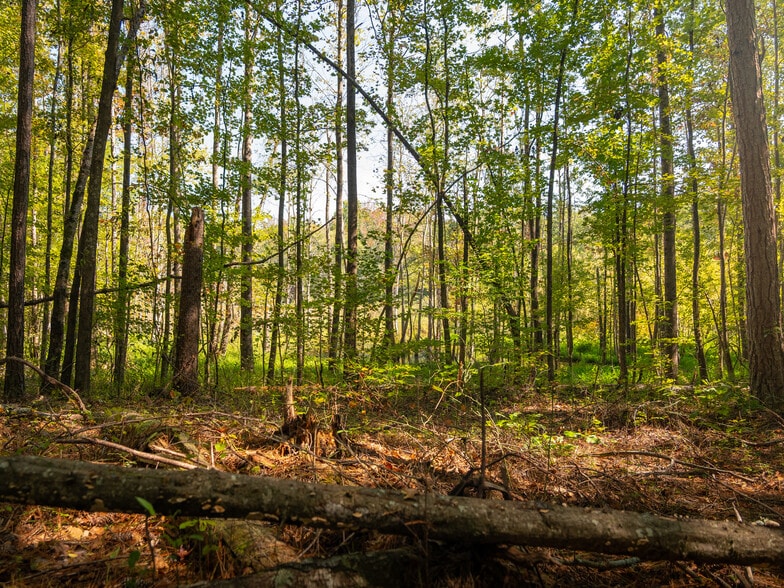 More Photos Of 00 Nash Mill Extension rd, Fountain Inn Land For Sale