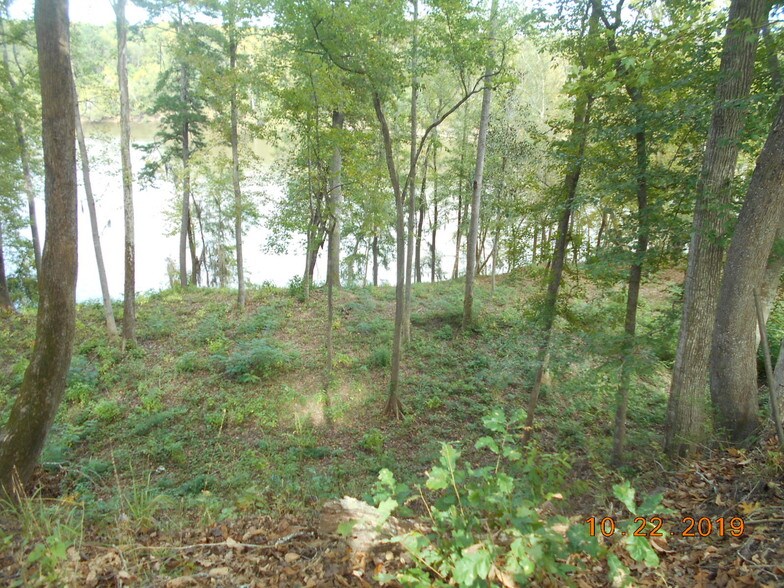 More Photos Of 282 Tuckasee King Rd, Clyo Land For Sale