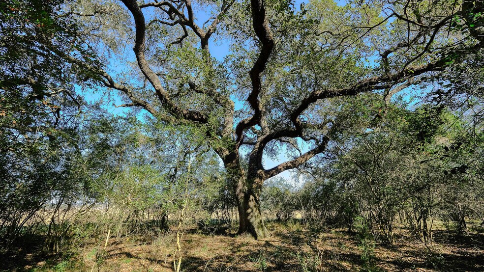 More Photos Of 26266 Fields Store Rd., Waller Land For Sale