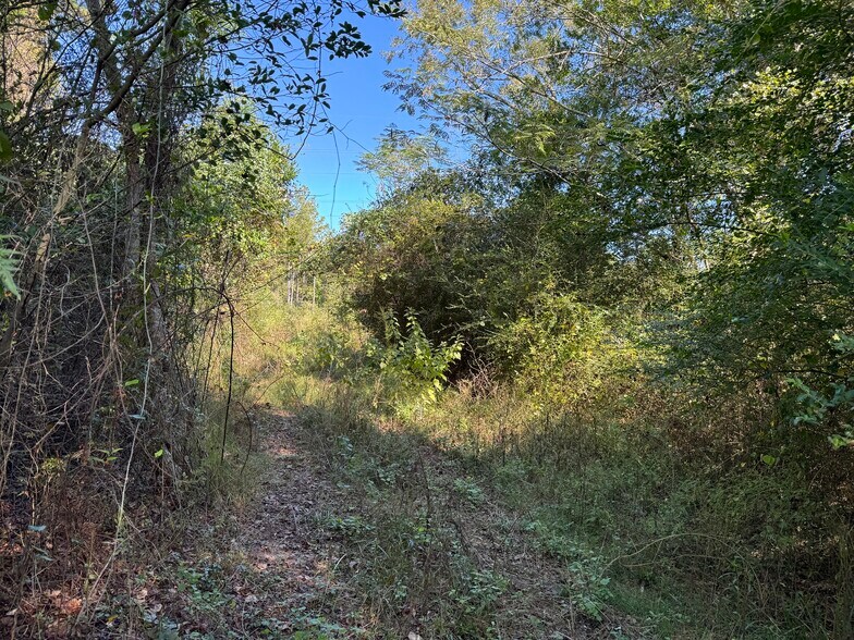 More Photos Of 0 Pleasant Hill rd, Century Land For Sale