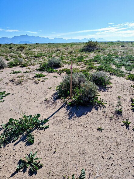 More Photos Of xxx Old US 80, Tacna Land For Sale