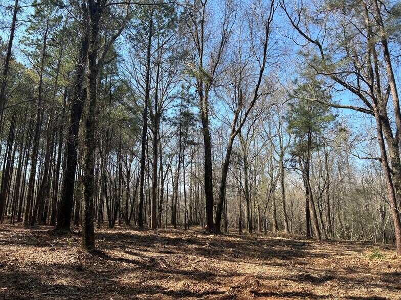 More Photos Of Victoria Blvd, Winnabow Land For Sale