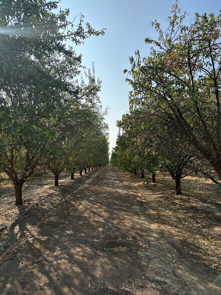 More Photos Of Bear Mountain Blvd. @ Malaga Rd., Arvin Land For Sale