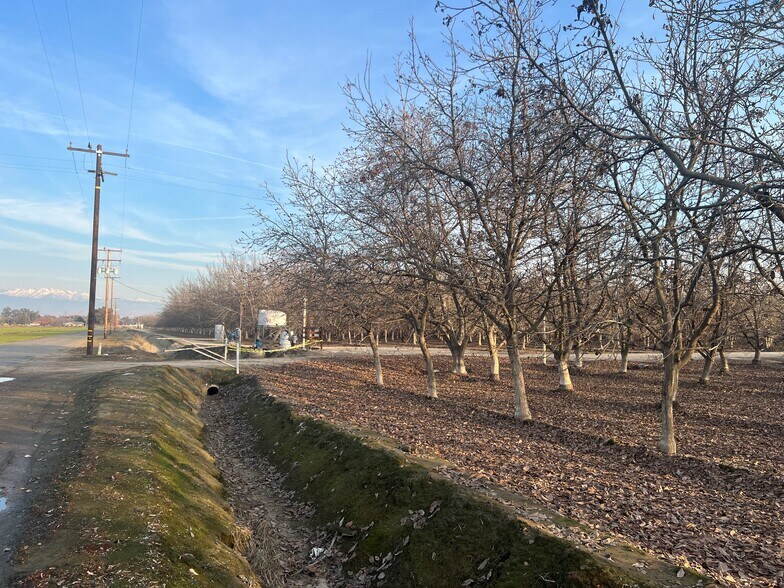 Primary Photo Of Avenue 248 @ Bliss Lane, Tulare Land For Sale