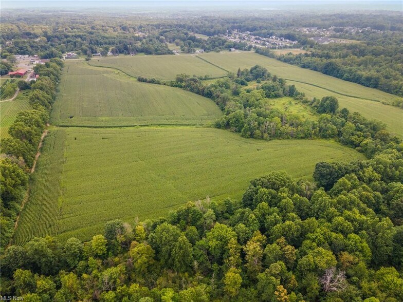 More Photos Of 3810 Center, Youngstown Land For Sale