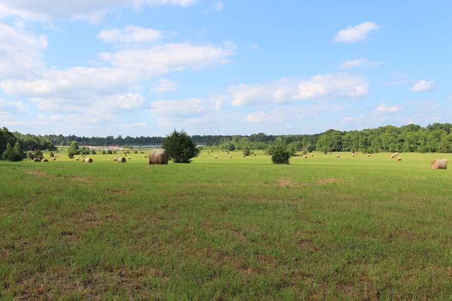 More Photos Of 278 Highway 64 E, Conway Land For Sale