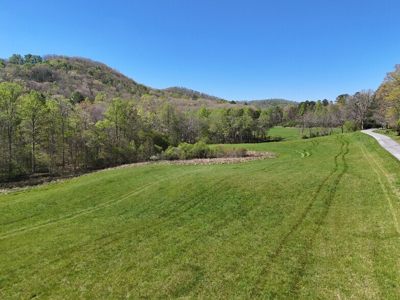 More Photos Of 1489 Boy Scout Rd, Blairsville Land For Sale