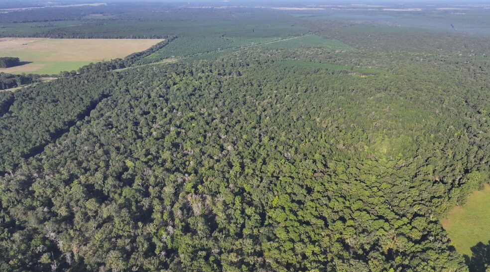 More Photos Of TBD CR 2041, Hull Land For Sale