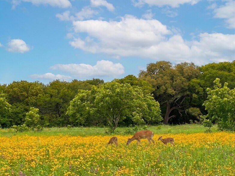 More Photos Of 7120 HWY 183 N, Early Land For Sale