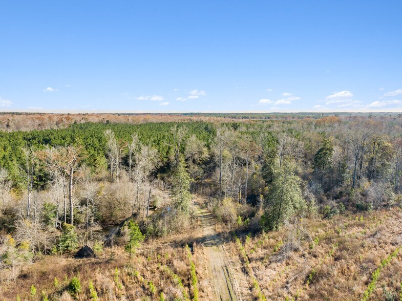 More Photos Of 7471 Hwy 155, Saline Land For Sale