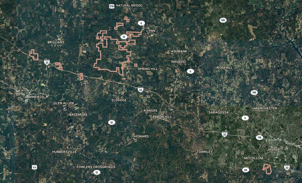 Primary Photo Of 0 AL 13, Nauvoo Land For Sale