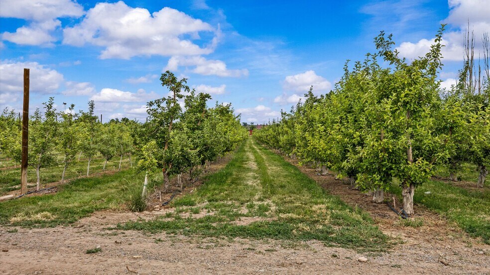 More Photos Of 20809 Nowhere Rd, Eckert Land For Sale