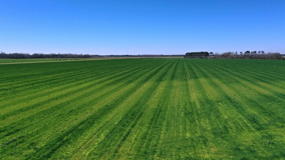 More Photos Of Lot 14 Davis Pond Rd rd, Atmore Land For Sale