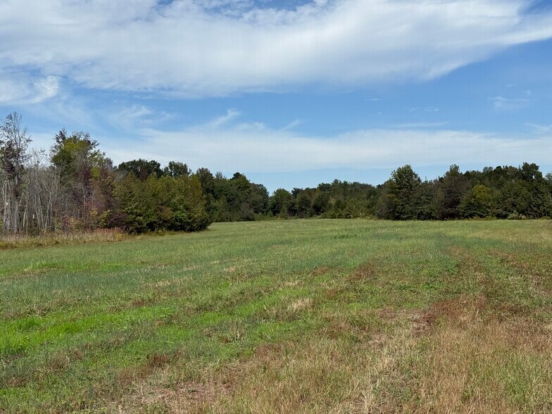 More Photos Of 0 Clarksbury Church Rd, Thomasville Land For Sale