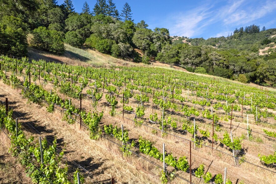 More Photos Of 20799 Highway 128, Yorkville Winery Vineyard For Sale