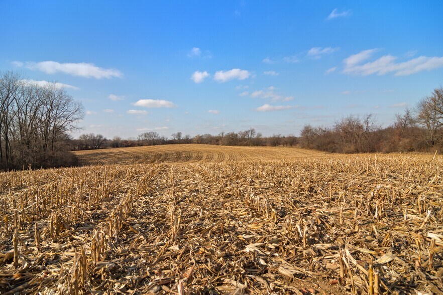 More Photos Of 19925 W Indian Creek Rd, Long Grove Land For Sale