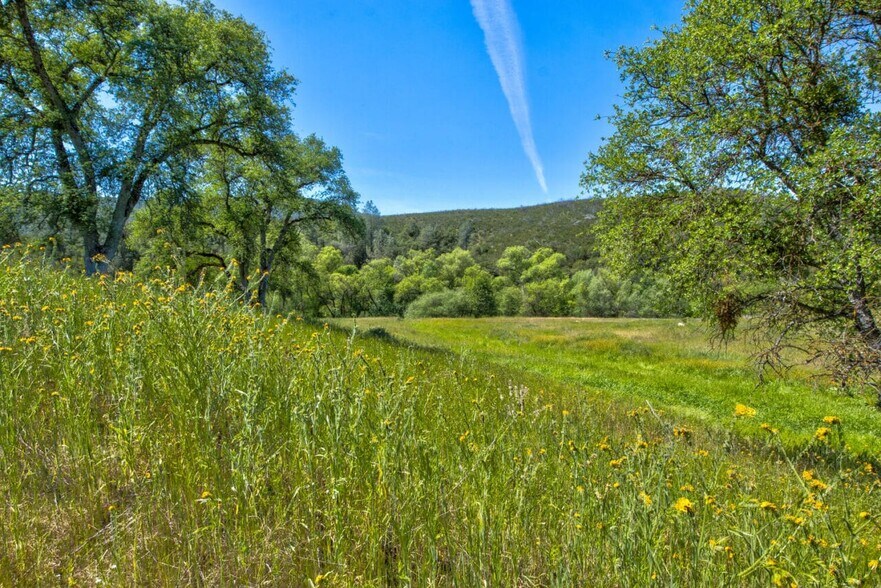 More Photos Of 4780-4784 Mary Harrison Mine Rd, Coulterville Land For Sale
