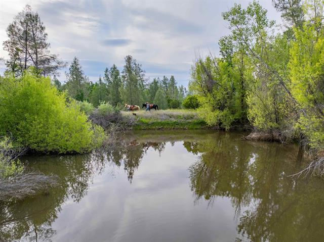 More Photos Of 14015 Hwy 36 W, Cottonwood Land For Sale
