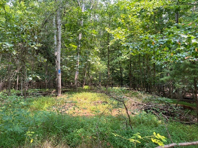 More Photos Of 3590 Twinbrook Dr, Waldorf Land For Sale