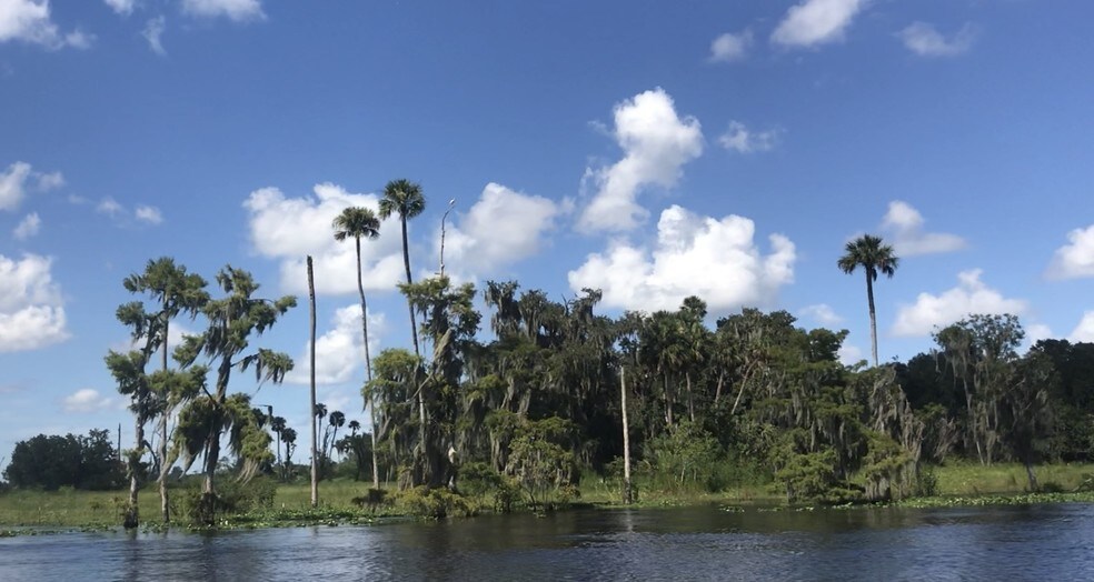 More Photos Of 2738 Botts Landing Rd, Deland Land For Sale