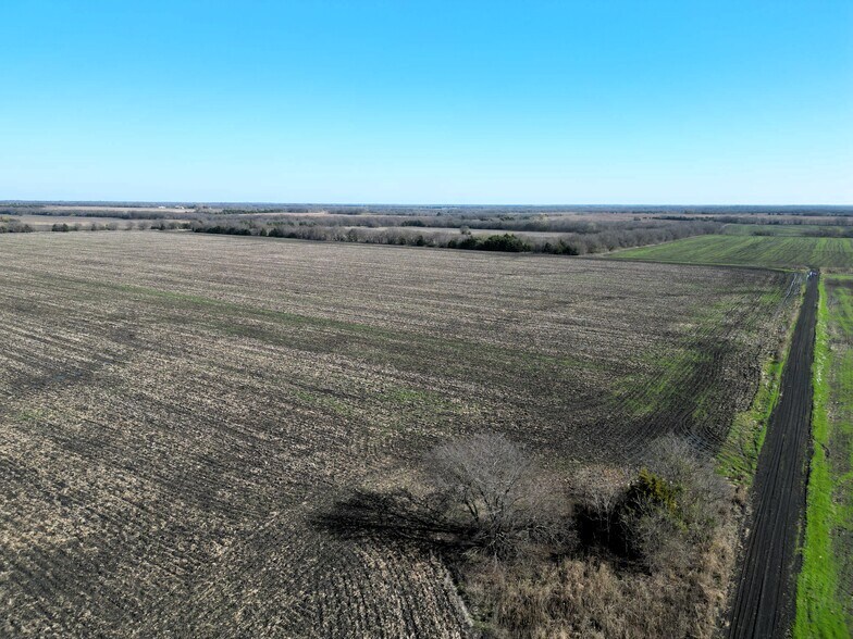 More Photos Of 1 County Road 4914, Ladonia Land For Sale