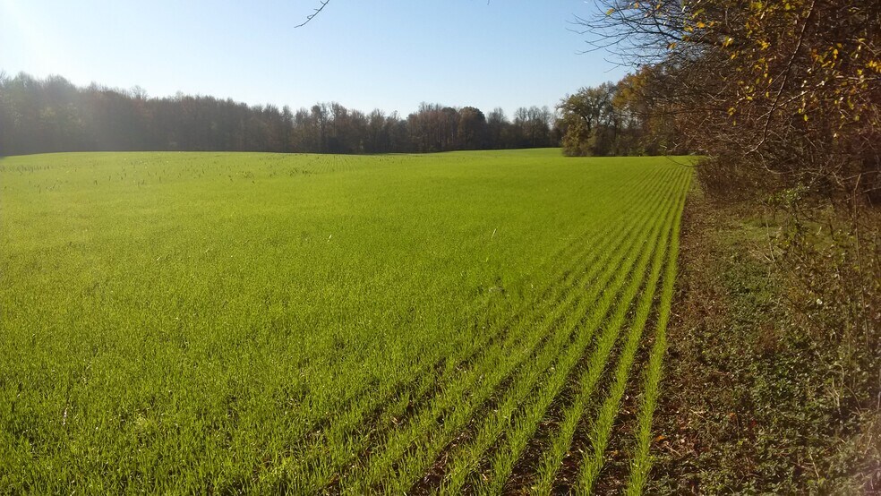 More Photos Of 6720-6800 Osborne Tpke, Richmond Land For Sale