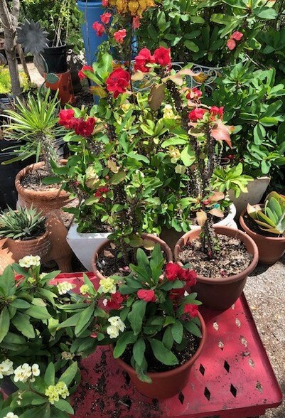 More Photos Of 2006 Pinn Rd, San Antonio Warehouse For Sale