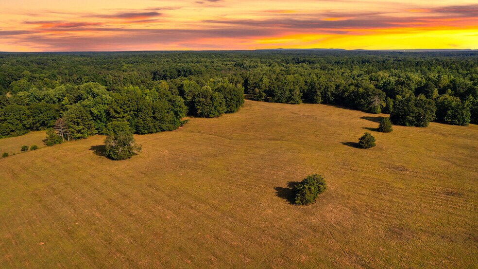More Photos Of 4091 Hollonville Rd, Williamson Land For Sale