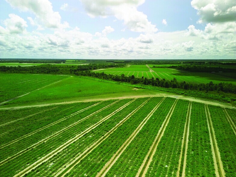 More Photos Of 40105 Ballard Rd, Myakka City Land For Lease