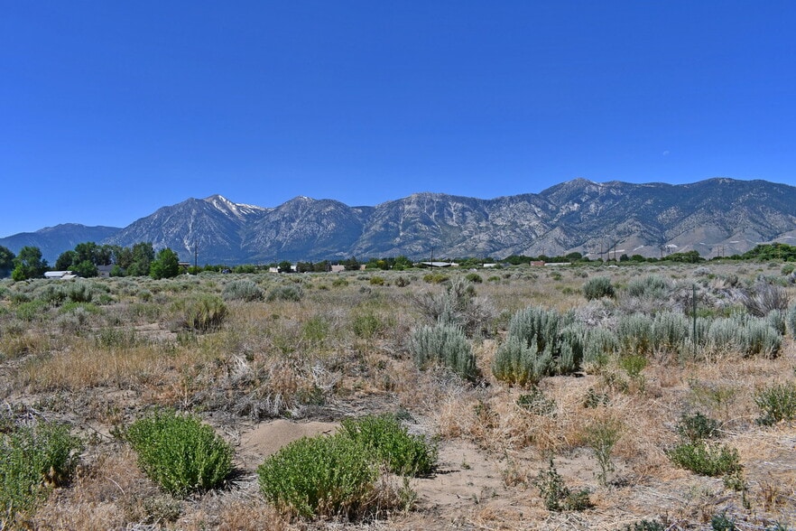More Photos Of 1795 US Hwy 395, Minden Land For Sale