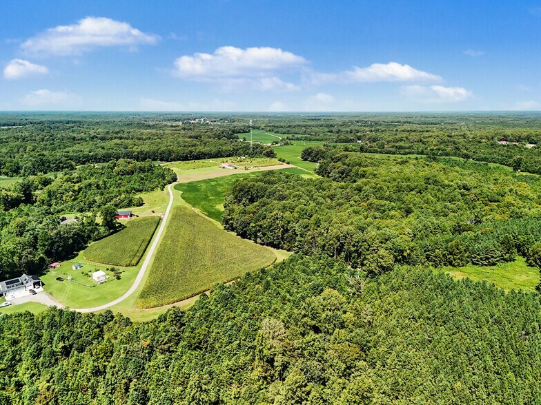 More Photos Of 495 Meadow Landing Ln, Caret Winery Vineyard For Sale