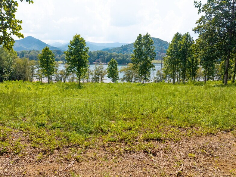 More Photos Of 314 Lakeside dr, Hiawassee Land For Sale