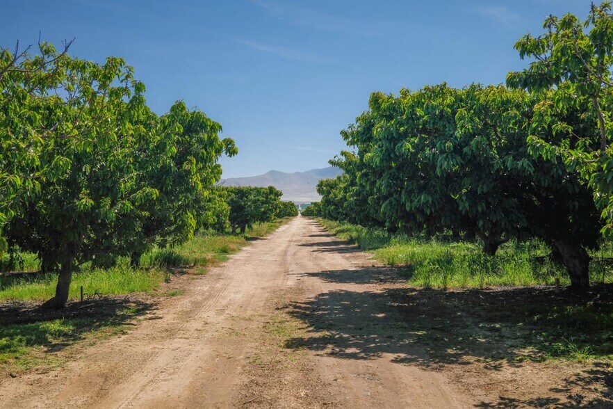 More Photos Of 0 Rock Pile Road, Arvin Land For Sale