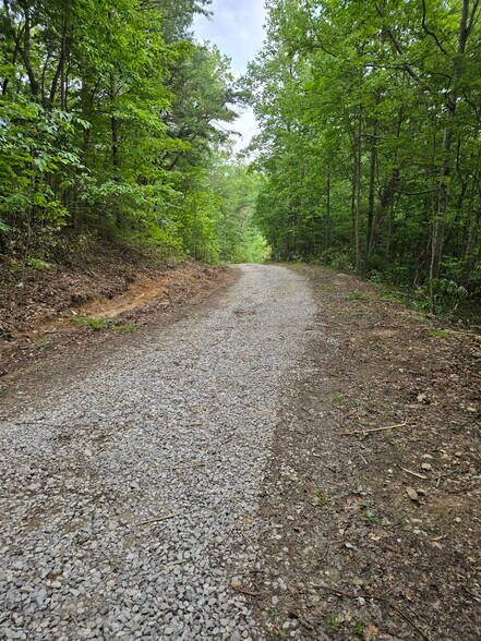 More Photos Of 1737A High Rock Rd, Stanton Land For Sale